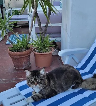 + Terrasse Privative Accommodatie bij particulieren